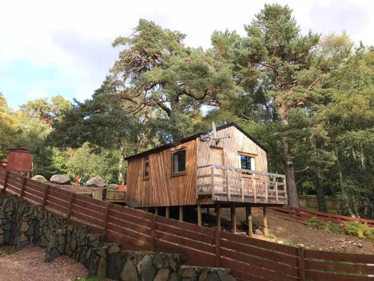 Pine Marten Bar Glenmore Treehouse Aviemore Kültér fotó